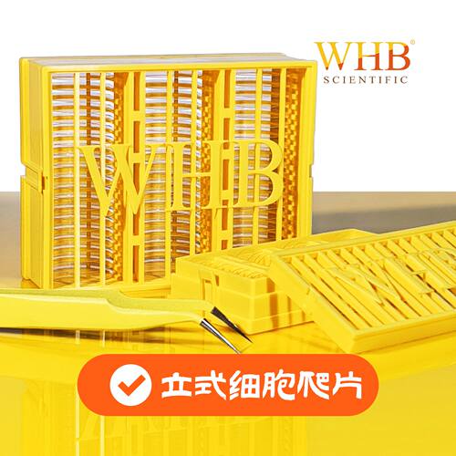 WHB卧宏TC处理6/12/24孔板立式圆形细胞爬片Φ24/Φ20/Φ14mm灭菌
