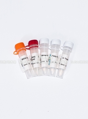 BIOG miRNA探针法逆转录试剂盒(血浆)含Oligo d(T)的引物RT效率高