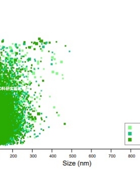 umibio®植物外泌体(姜黄) 植物外泌体(葡萄) Plant-Exosomes