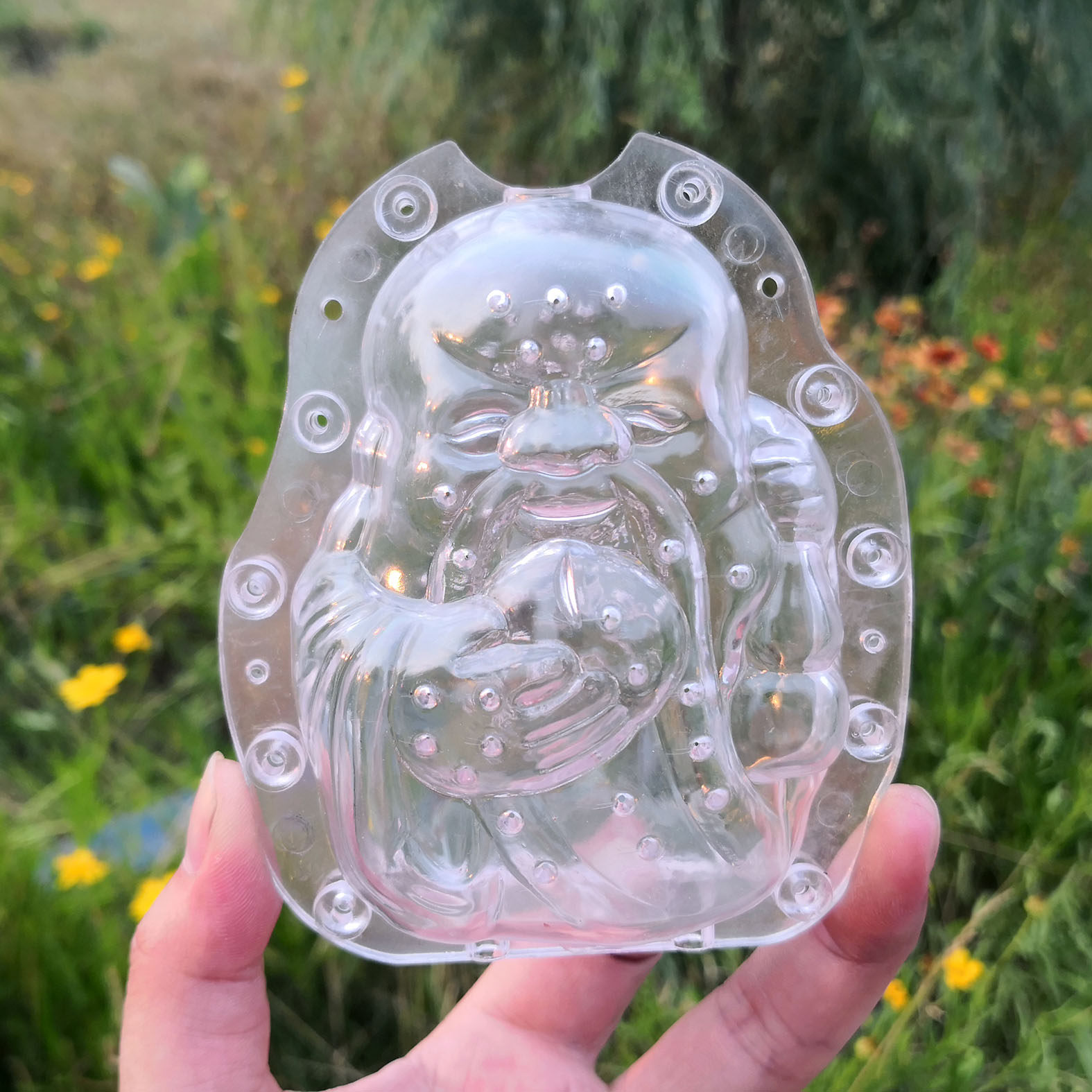 易速寿星水果定型生长模具