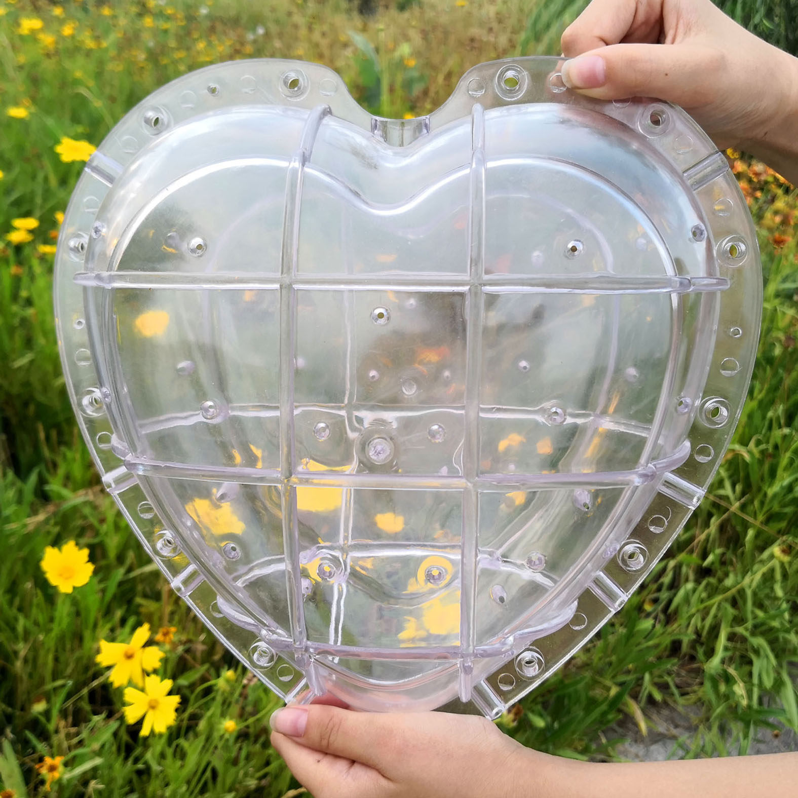 心形西瓜定型生长模具