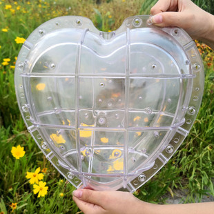 新品大号爱心形方形飞龙金元宝形520LOVE形西瓜定型生长塑料模具