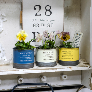 爱上花园 园艺杂货 铁艺铁皮花盆花盒 圆桶SIMPLICITE.8花盒