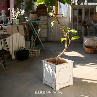 爱上花园丨园艺杂货 花园庭院装饰摆件 四方白色做旧木箱花盆