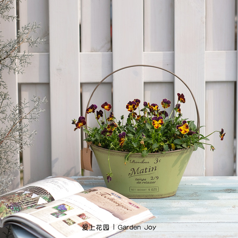 爱上花园园艺杂货做旧铁皮花盒 日式铁艺提手月亮盆把手船型提篮,鲜花速递/花卉仿真/绿植园艺,花盆,淘宝优惠券,粉丝福利购,淘宝优惠卷