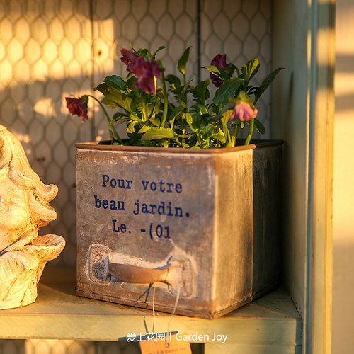 庭院花园阳台装饰花盆