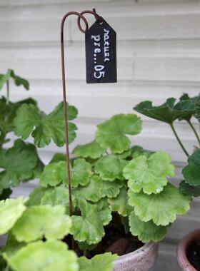 园艺杂货 花盆装饰铁艺锈色做旧铁丝（特细款不锈）满三十包邮