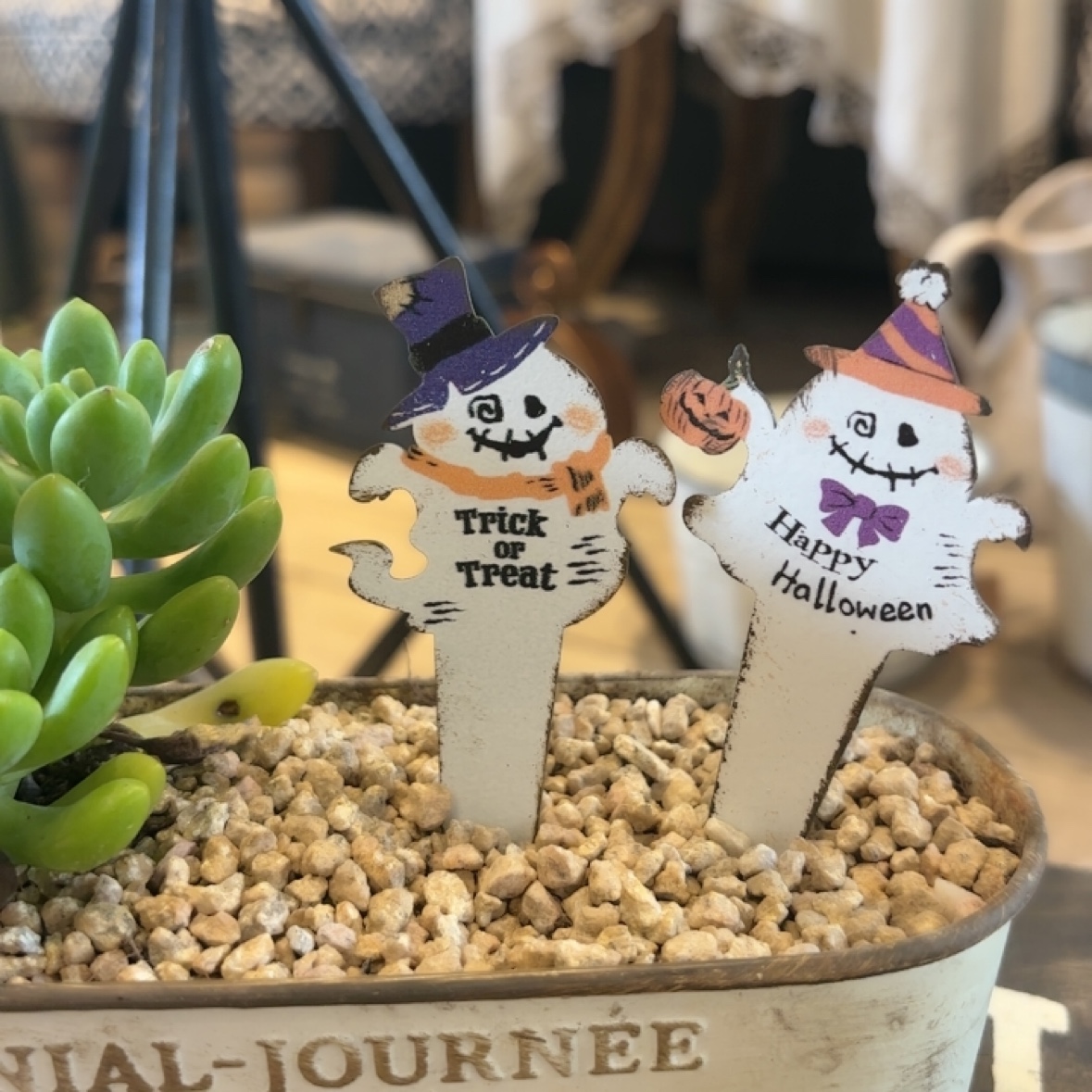 爱上花园|园艺杂货 庭院花盆装饰插件 南瓜幽灵 万圣节系列小花插