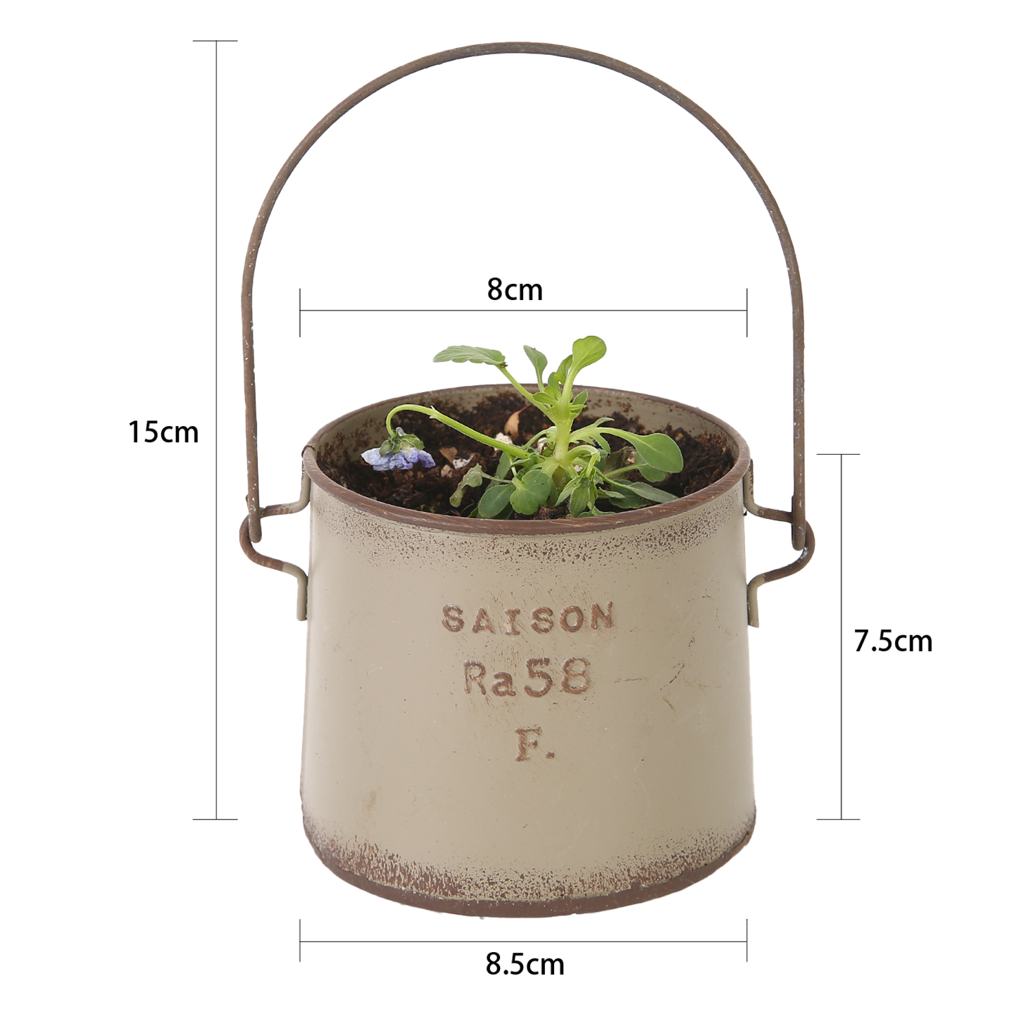爱上花园 铁皮58迷你小提桶