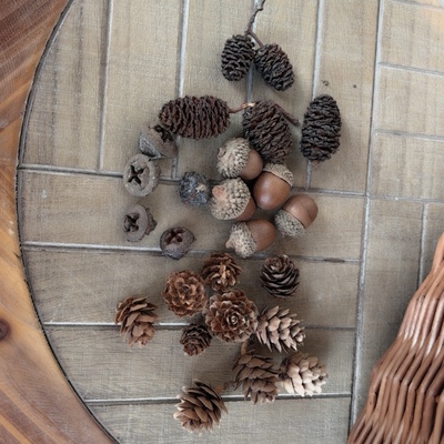 爱上花园阳台花盆家居装饰摆件辅料松果 椰丝 青苔