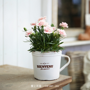 爱上花园 杂货摆件 铁艺做旧 铁皮茶杯水杯BIENVENU 无底孔