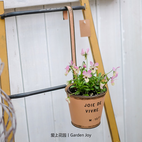爱上花园丨园艺杂货 铁艺铁皮花桶 壁挂圆桶铁皮花盆花盒JOIE DE