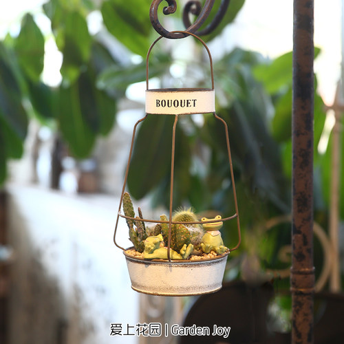 爱上花园家居庭院阳台杂货装饰花盆摆件铁皮做旧灯笼花盒花盆