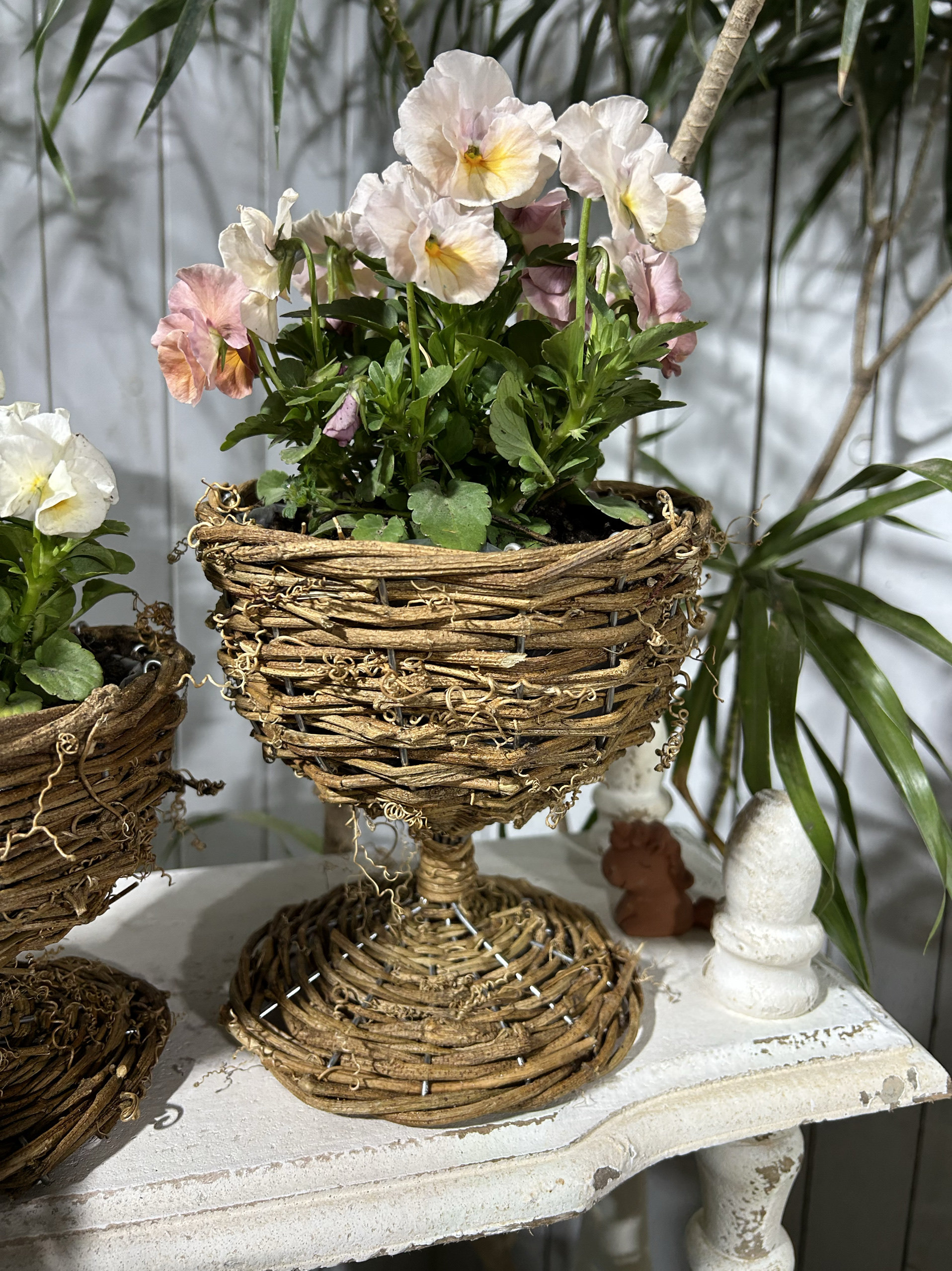 爱上花园 园艺杂货草花套盆收纳  柳编 野山藤高脚杯 奖杯,鲜花速递/花卉仿真/绿植园艺,其它园艺用品,淘宝优惠券,粉丝福利购,淘宝优惠卷