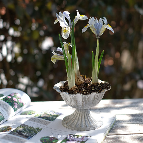 铁艺做旧装饰小奖杯摆件