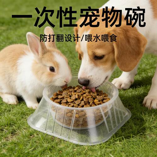 流浪猫一次性猫碗户外防