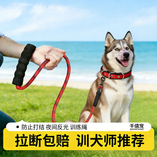 「宠生活」狗狗牵引绳小