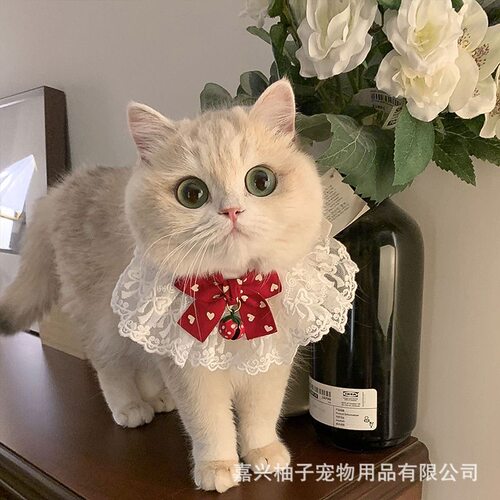宠生活薄荷同款蝴蝶结猫咪口水巾