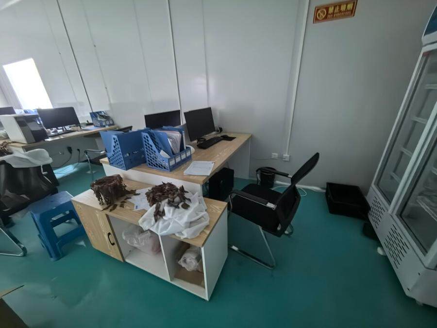 3月12日巴中市科技公司6栋综合办公室电脑主机7台网络拍卖公告