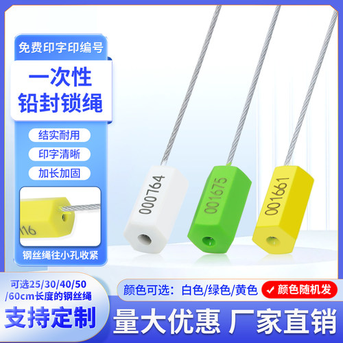 一次性钢丝铅封油罐车封条扎带