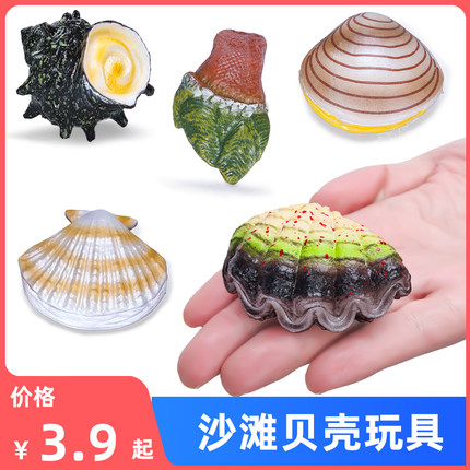 儿童实心仿真海洋动物玩具模砗磲海螺牡蛎扇贝生蚝蛤认知礼品摆件