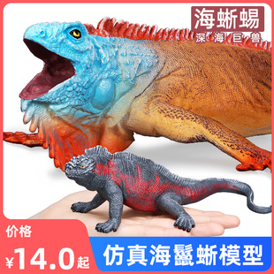 仿真冷血爬行动物蜥蜴模型海鬣蜥玩具美洲鬣蜥儿童科教认知礼物
