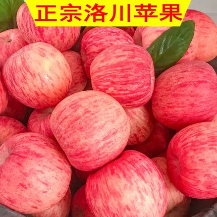苹果水果新鲜水果当季整箱陕西洛川正宗红富士一级脆甜10包邮平斤