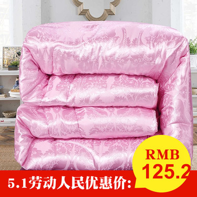 加厚保暖全棉双人春秋被