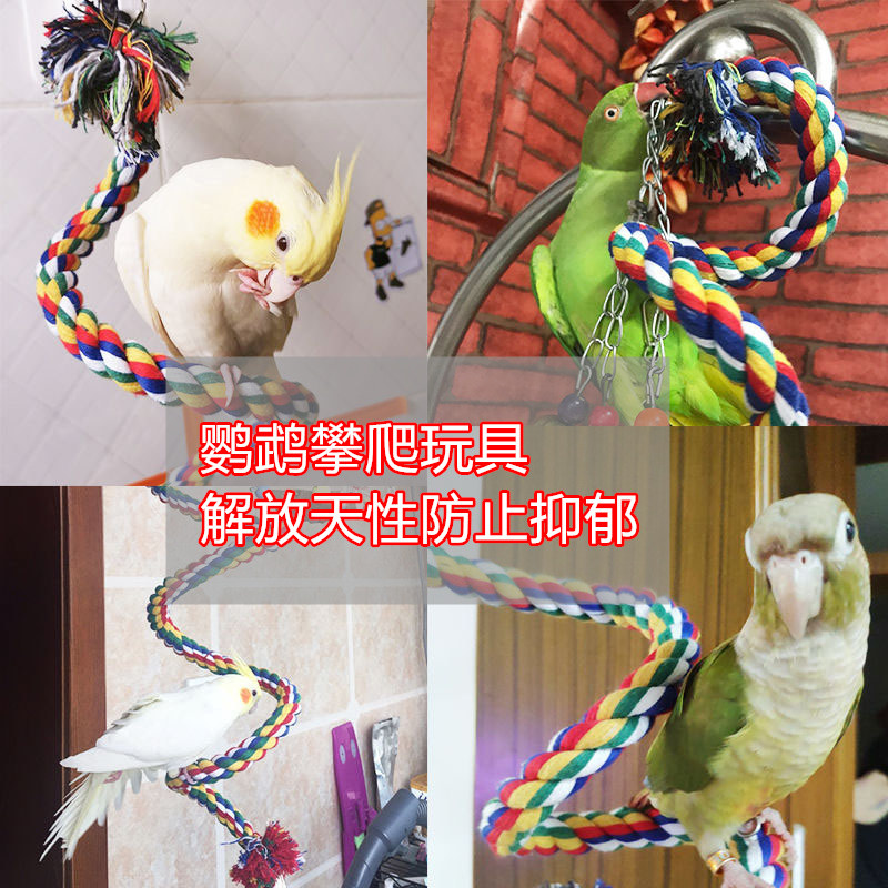 大中小型攀爬绳索鹦鹉玩具图片