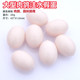 包邮 大型肉鸽注水假蛋圆环塑料鸽蛋元 宝鸽替换假鸽子蛋白羽王鸽蛋