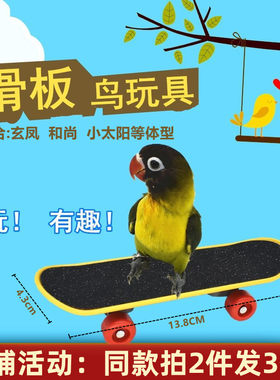 鹦鹉磨砂滑板车益智训练互动玩具