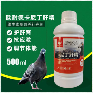 液体肝精 欧耐德 赛鸽用 费鸽子鹦鹉养殖500ml 卡尼丁肝精 免邮