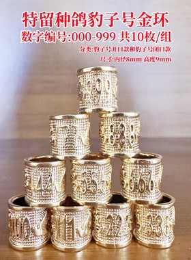 镀金闭口豹子号特留种鸽金环10枚