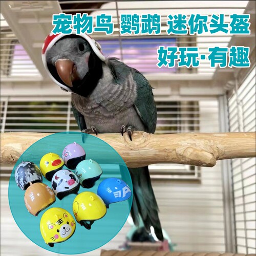 仓鼠宠物帽子熊鹦鹉宠物金丝打架保护头盔头套可爱帽用品造型鹦鹉