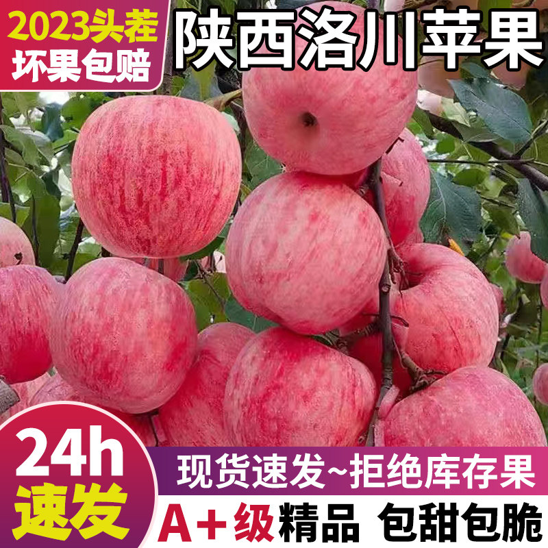 陕西洛川苹果水果新鲜整箱当季正宗红富士应季时令脆甜糖心包邮10属于什么档次？