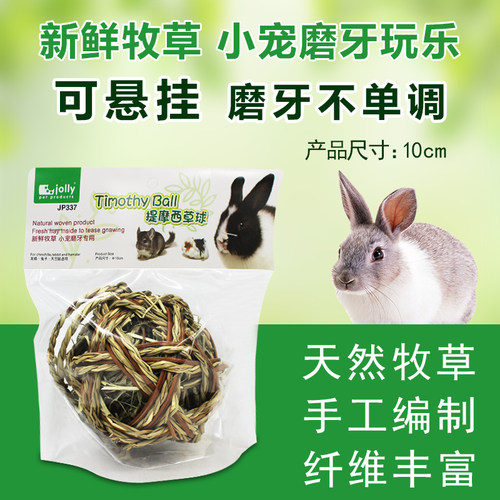 提摩西荷兰猪龙猫磨牙jp337玩具