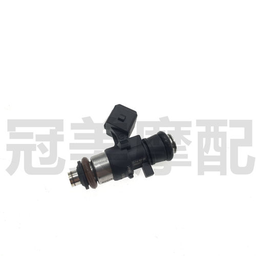 适用隆鑫无极LX300-6A-6C-6D LX300GS-B 300RR /AC改装6孔喷油嘴