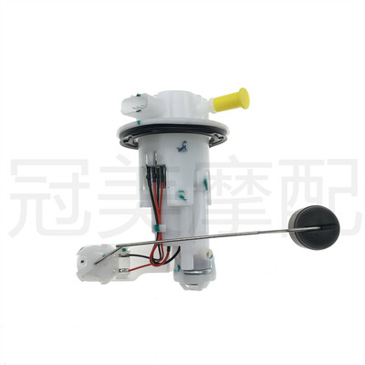 适用钱江赛800 QJ800GS-G 赛600RS QJ700GS-L汽油泵 燃油泵总成