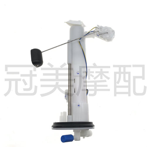 适用布雷斯通极昼ADV150踏板车BL150T-4D汽油泵 燃油泵 抽油泵