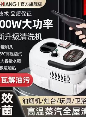 跨境高压蒸汽清洁机小型家用油烟机空调消毒清洗机厨房去油污批发