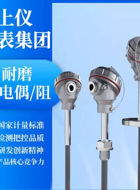 上仪耐磨热电偶WRNM-230电厂水泥厂焚烧炉专用WZP-230NM 0-1300℃