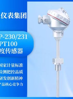 上海仪表 热电阻WZP-232/230 PT100温度计 直径10 L=100mm 0-50度