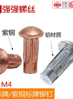 标牌铆钉 紫铜铆钉 GB827滚花铭牌实心半圆头大头铆钉M2M2.5M3M4