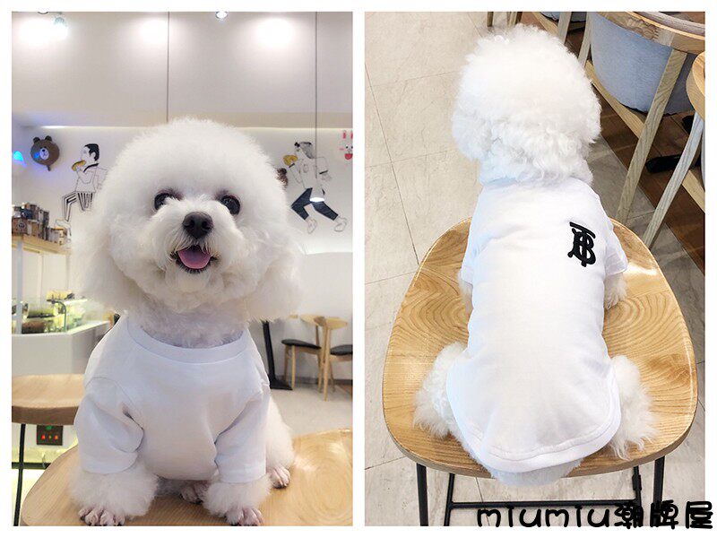 狗狗衣服夏装小狗潮牌雪纳瑞泰迪比熊博美法斗猫咪宠物衣服小型犬在类目 宠物/宠物食品及用品, 宠物服饰及配件, 宠物服装/雨衣中 - 来自Buy2taobao.com提供专业的淘宝代购服务