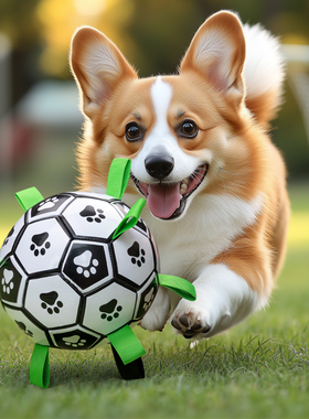 狗狗玩具户外巡回训练专用足球磨牙耐咬铃铛发声充气宠物训练玩具