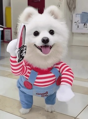 持刀狗狗衣服狗狗杀手衣服小型犬狗狗搞怪变身装猫咪宠物衣服用品