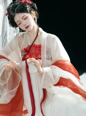 宛若惊鸿【长恨歌】唐制显瘦异形齐胸破裙大袖上衫春夏汉服