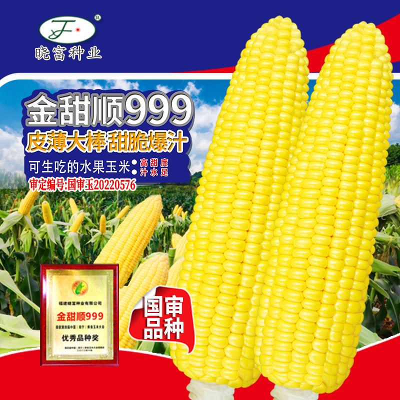 水果玉米种子超甜脆薄皮大棒玉米