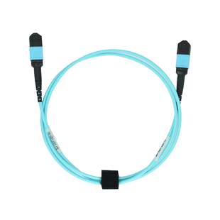 波钢 MPO-MPO万兆OM4多模8芯12芯16芯24芯40g/100g/400G集束状LC-LC光纤跳线mtp数据中心机房电信级mpo深圳