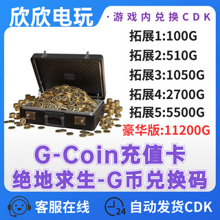 PUBGG币绝地求生G币货币G-coin币游戏商店充值卡CDK兑换码直充